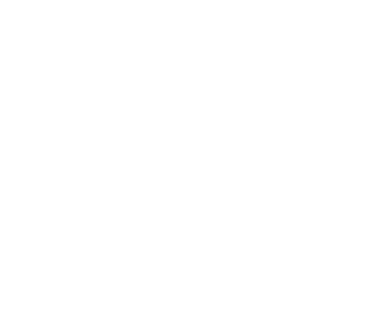 spoany since2003